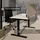 Assmann Electronic Assmann Tischtrennwand, Dunkelgrau, Schwarz, Textil, 1.2x56.2x160 cm, Arbeitszimmer, Schreibtische, Schreibtischkombination