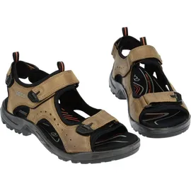 ECCO Offroad Herren nutmeg brown 47