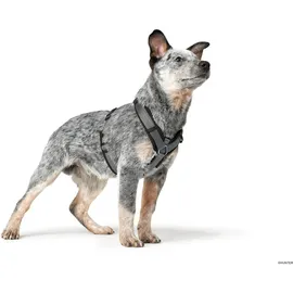 Hunter Maldon UP Hundegeschirr Schwarz/Grau XS-S