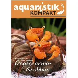 Geosesarma-Krabben - aquaristik KOMPAKT