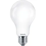 Philips LED-Birne A67 150W E27 kaltweiß