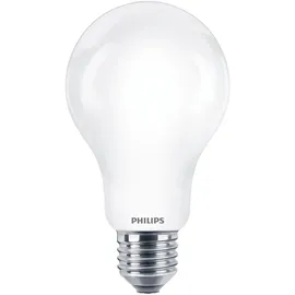 Philips LED-Birne A67 150W E27 kaltweiß