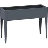M 30 x 100 x 80 cm Anthrazit