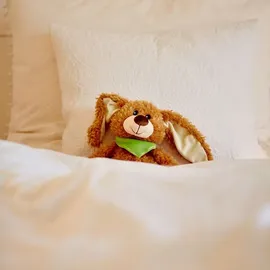 WELLIEBELLIES Wärmekuscheltier mit aromatischem Duft, klein, Tier:Hase