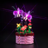LocoLee Licht Kompatibel mit Lego Isabelas Blumentopf, Nur Lichter Set - Kein Modell, Licht BeleuchtungSet Compatible with LEGO 43237 Disney Encanto Isabela’s Flowerpot