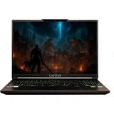 CAPTIVA Advanced Gaming I95-041GE 16'' Intel Core i7-14650HX 32 GB RAM 1 TB SSD RTX 5060 Win11 Home