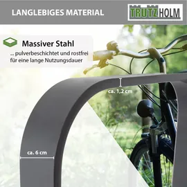 Trutzholm Fahrradständer 2x Anlehnbügel 115 x 45 cm Flachstahl 12 mm Anthrazit
