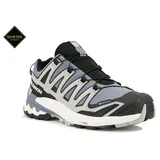 Salomon Xa Pro 3d Goretex Trailrunning-schuhe Flint Stone Black Ghost Gray 40