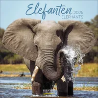 Korsch Verlag Elefanten 2026