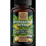 Scheunengut Scheunengut® Steinbrecher Intenso | Die Original Nierenstein-Formel aus der TCM Chanca Piedra 120 St