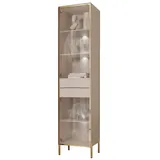 ALLHOUSE24 Glasvitrine PEONY Kaschmir mit LED Beleuchtung VITRINE Breite 45 cm grau