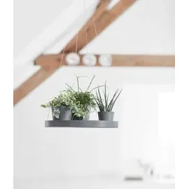 Ecopots Ø 36 x 3 cm Grau