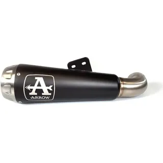ARROW Pro-race Edelstahl schwarz für Bmw F900R / BMW F900XR 2020-, Edelstahl schwarz