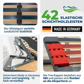 reha-schlafwelt 7 Zonen Lattenrost mit Kopf- und Fußteilverstellung 140 x 200 cm