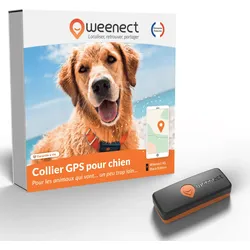 Hunde-Ortungshalsband GPS Weenect V2 EINHEITSFARBE No Size