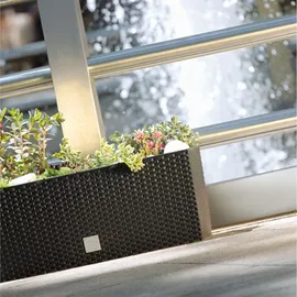 Prosperplast Rato Case 51,4 x 19 x 18,65 cm Anthrazit