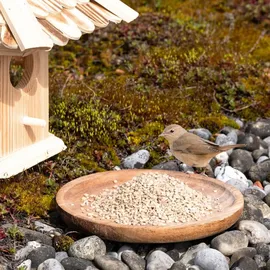 Lyra Pet 25 kg Sonnenblumenkerne geschält Bruch Neue Ernte