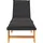 furnicato Sonnenliege 200 x 54 x 87 cm Schwarz
