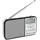 TechniSat Techniradio RDR XL silber