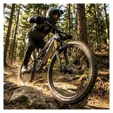 RockShox Federgabel Gold Isolator RC3 Schwarz