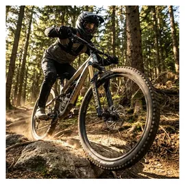 RockShox Federgabel Gold Isolator RC3 Schwarz