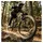 RockShox Federgabel Gold Isolator RC3 Schwarz