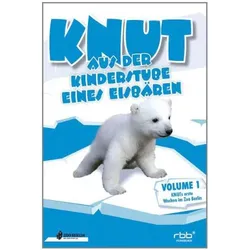 Knut - Aus der Kinderstube eines Eisbären (Neu differenzbesteuert)