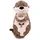 NICI 49169 - Forest Friends, Kuschelkissen Otter Oda Odalina 40x20cm, GREEN