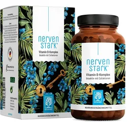 Vitamin B Komplex hochdosiert - Alle 8 B Vitamine mit 3 Cofaktoren - NERVENSTARK - 120 vegane Kapseln - NATURTREU® 120 St