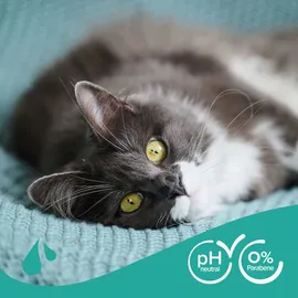 beaphar Shampoo für Katzen 250 ml