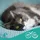 beaphar Shampoo für Katzen 250 ml