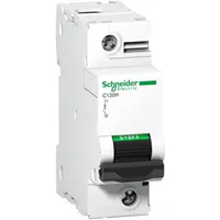 Schneider Electric A9N18448 Leitungsschutzschalter 125A, 144 V/DC