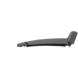 RIDEX 301W0247 hinten,