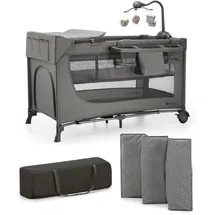 Kinderkraft JOY 2 mit Zubehör grau - Grau