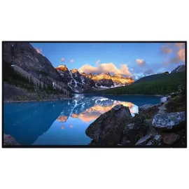 Dell UltraSharp U2424H WOST 23,8"