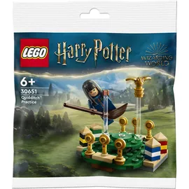 Lego Harry Potter Quidditch Training 30651