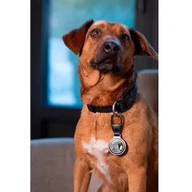 Troika® Schlüsselanhänger AIRTAG HOLDER silber