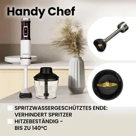 Zeegma 5 in 1 Stabmixer