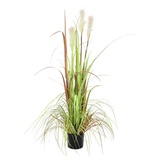 Europalms Wildwuchs, 120cm