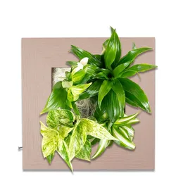 Flowerbox Flowerwall S - holz mokka - 31x31 cm