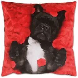 Bestlivings Kissenhülle Fotodruck 40x40 Hund ohne Füllung