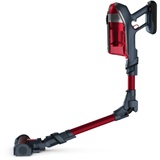 Rowenta X-Force Flex 11.60 Animal RH9879WO