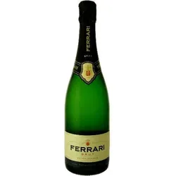 Ferrari Brut - Sekt / trocken - Italien / Trentin - Chardonnay / Ferrari