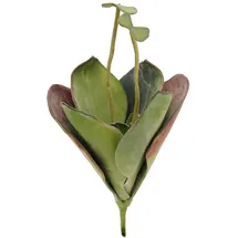 Europalms Seerose (EVA), geschlossen, grün, 45cm