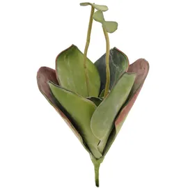 Europalms Seerose (EVA), geschlossen, grün, 45cm