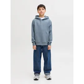 JACK & JONES JJESTAR Blue 176