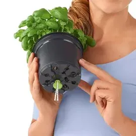 LECHUZA Bewässerungs-Stick 6er-Set