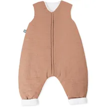 Julius Zöllner Musselin 1 Stück(e)