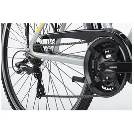 Winora Domingo 2024 28 Zoll RH 48 cm grau