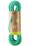 Edelrid Eagle Lite Eco Dry Kletterseil Bright Green 50 m
